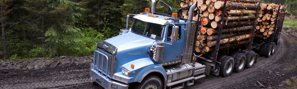 2018 West Star 4900 SB at Cullen Western Star Trucks Ltd. in Surrey, British Columbia